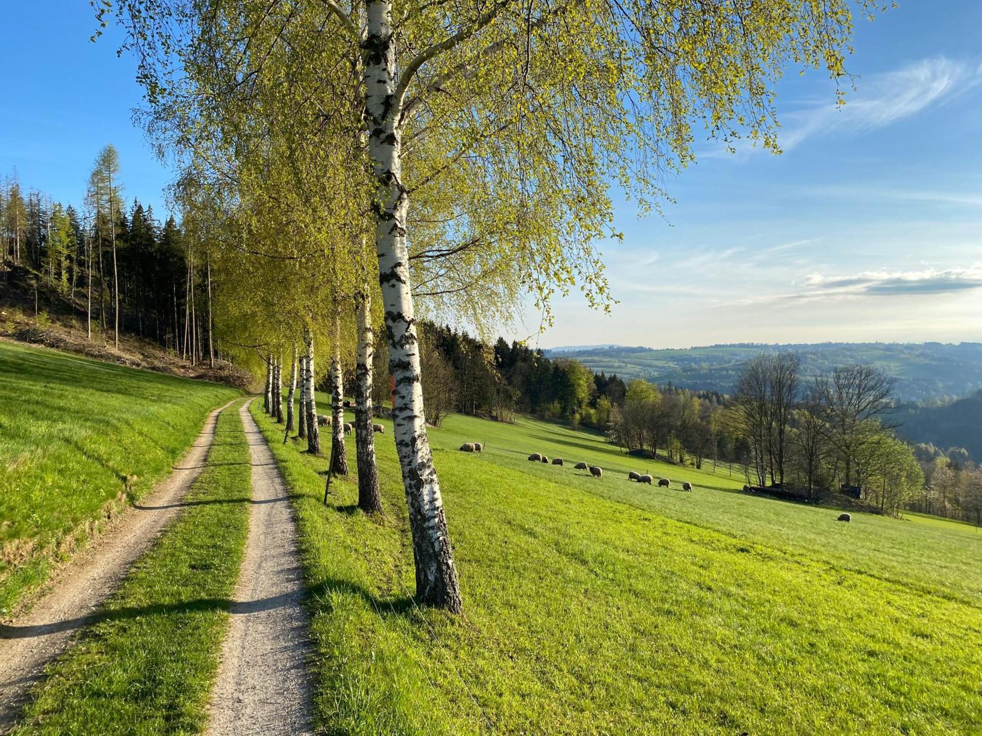 Krkonossky Apartman Bratrouchov Jablonec nad Jizerou Extérieur photo